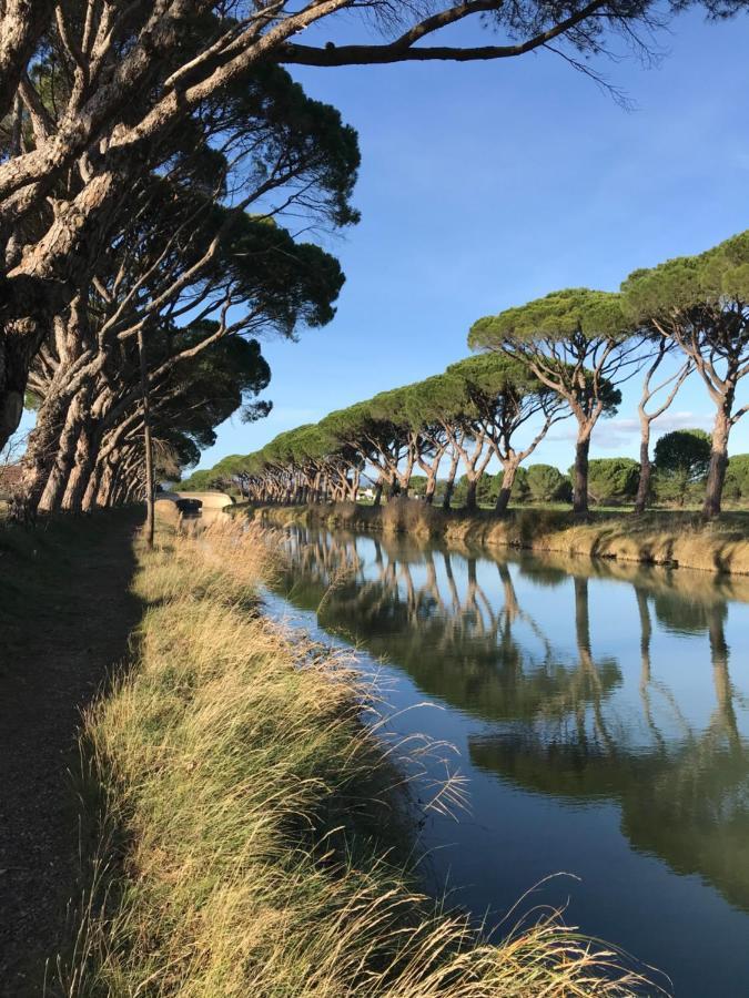 Villa Pintourina Sallèles-dʼAude Екстериор снимка